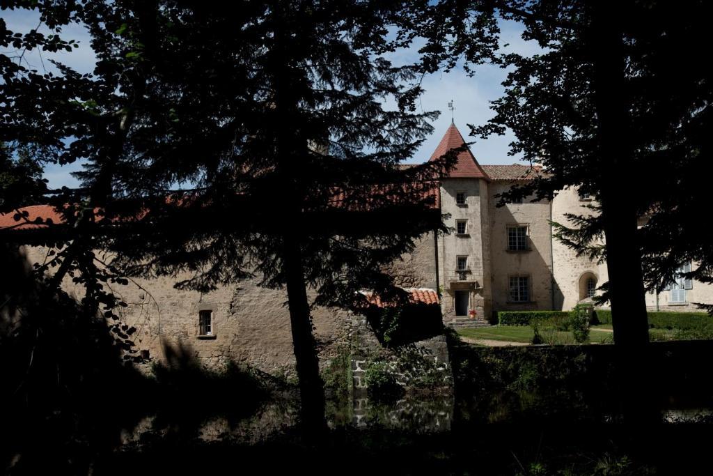 Chateau Des Martinanches Saint-Dier-dʼAuvergne Exterior foto