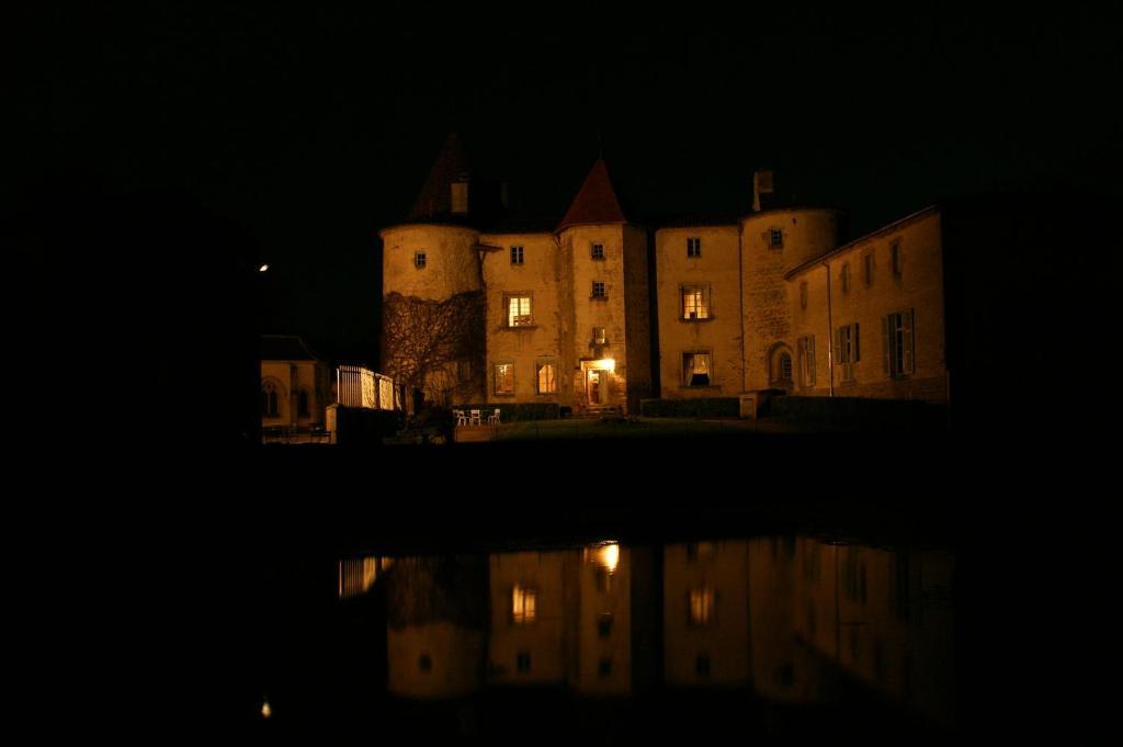 Chateau Des Martinanches Saint-Dier-dʼAuvergne Exterior foto